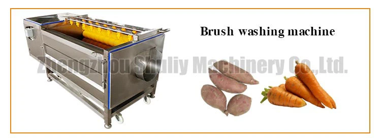 carrot washing machine carrot washing machine