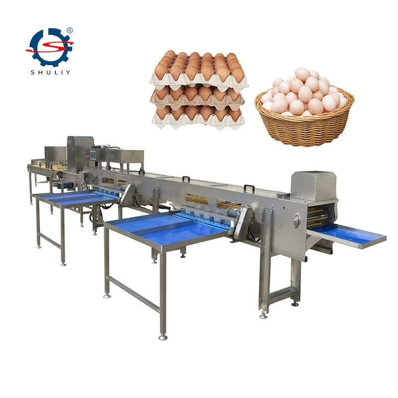 Automatic Egg Grading Machine factory
