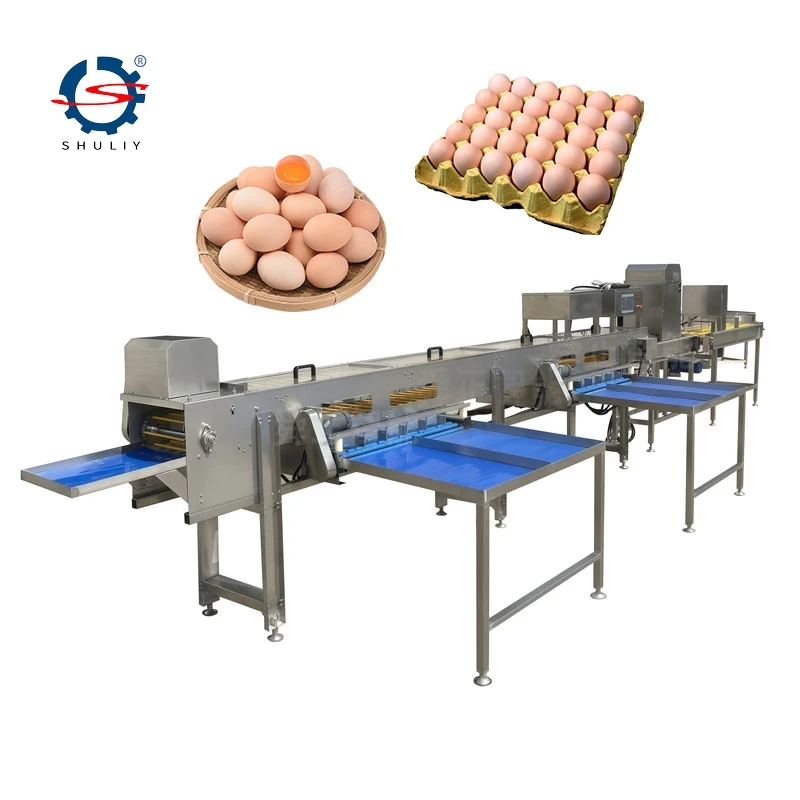 Mesin penggredan telur automatik