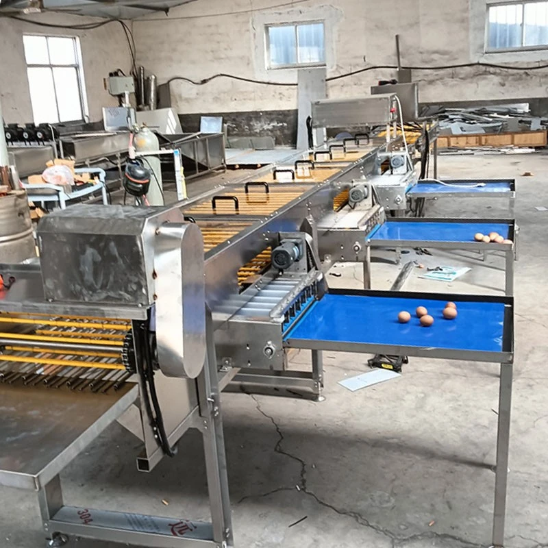 Automatic Egg Grading Machine high quality
