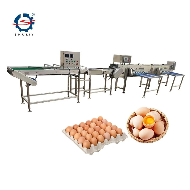 Automatic Egg Grading Machine suppliers