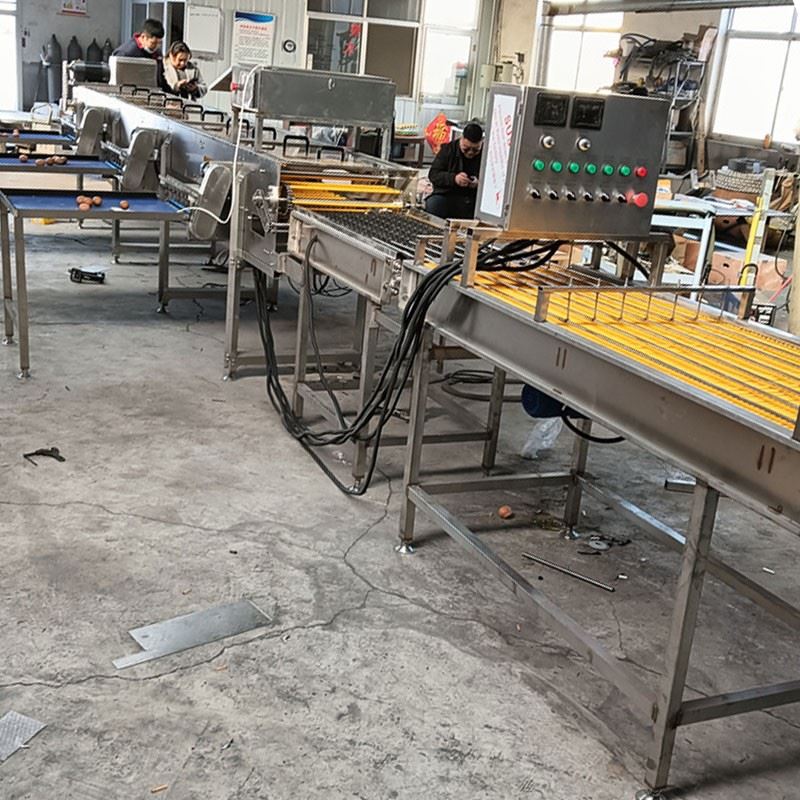 Automatic Egg Grading Machine best