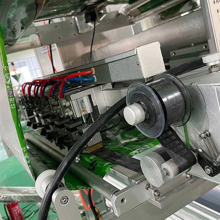 Multi lane powder packing machine5