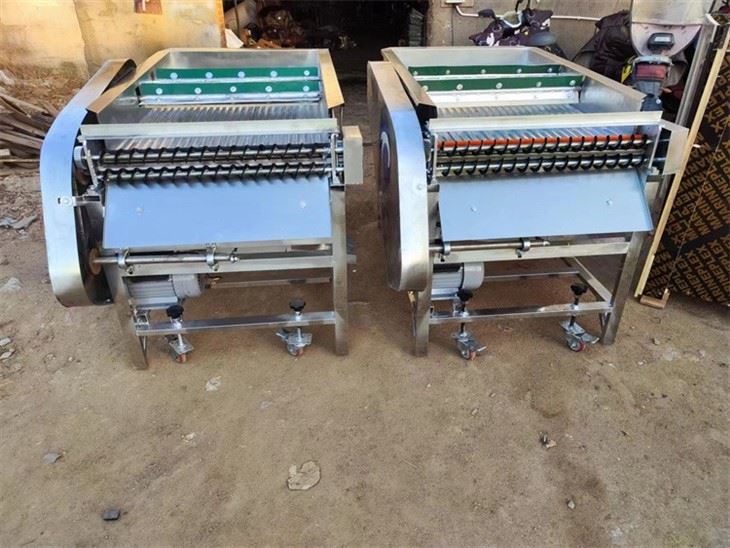 Peas Shelling Machine