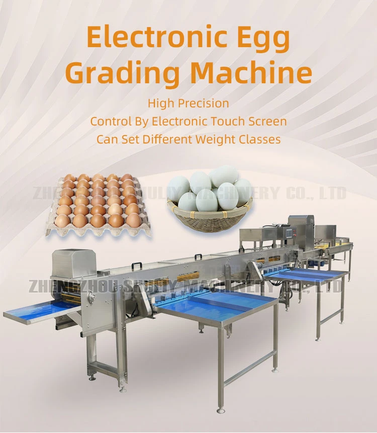 automatic egg grading machine automatic egg grading machine