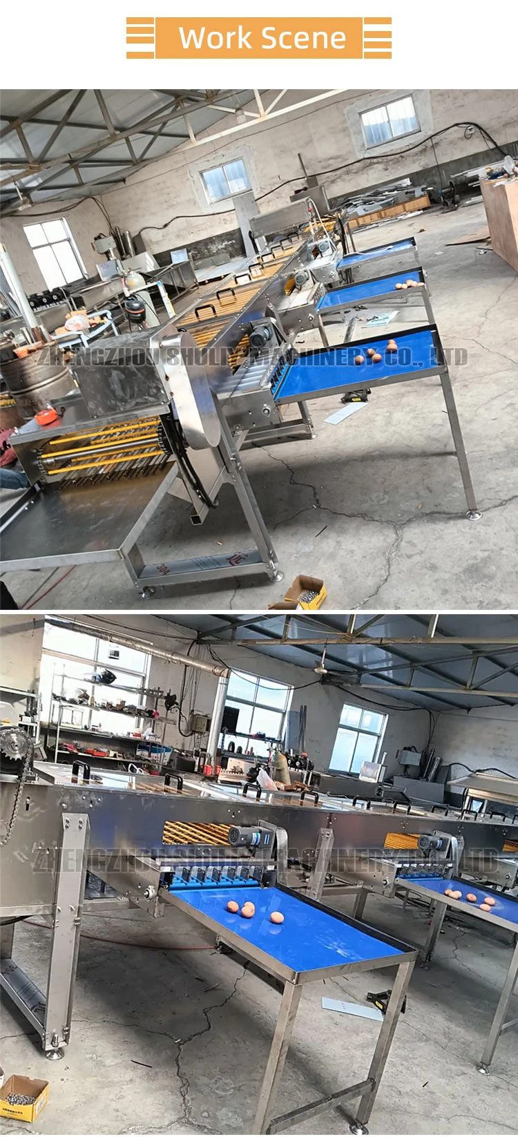 automatic egg grading machine automatic egg grading machine